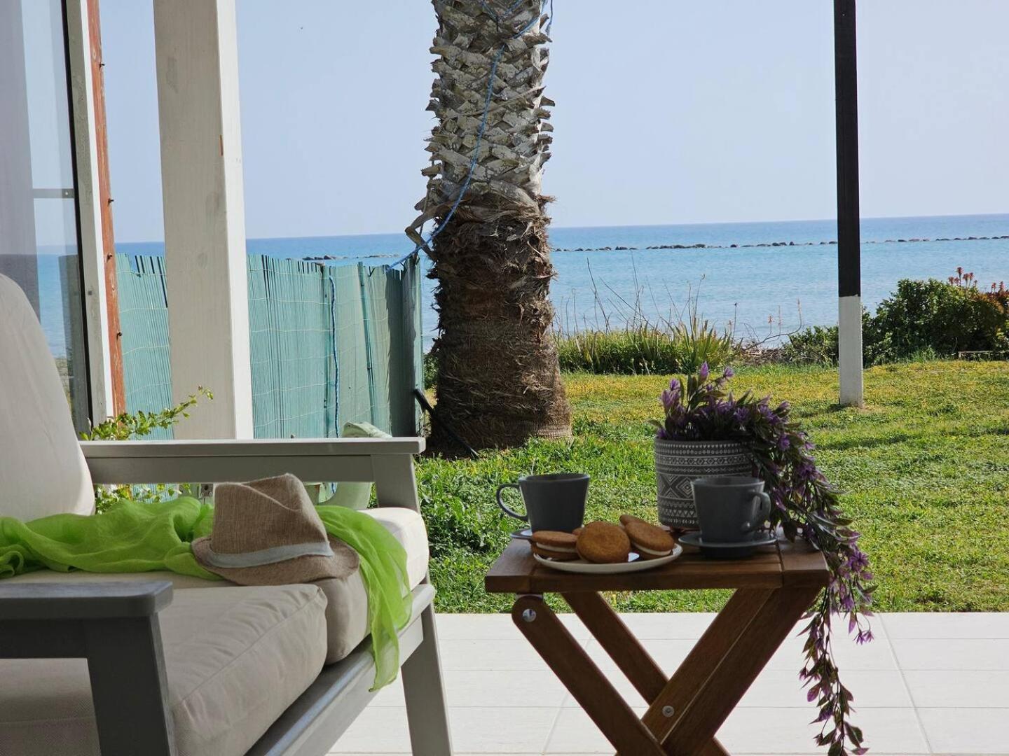 Ammos Beachfront Villa Paradise Larnaca Dış mekan fotoğraf